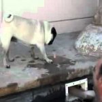 Brincando com o Dedinho
