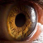 Incríveis Closes de Olhos Humanos Incríveis Closes de Olhos Humanos