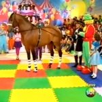 Cavalo Faz Cocô ao Vivo em Especial do SBT Cavalo Faz Cocô ao Vivo em Especial do SBT