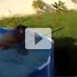 V�deo Mostra Treinamento com Fuzil