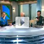 Cachorro Rouba a Cena em Programa Ao Vivo
