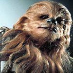 Cachorro que é a Cara do Chewbacca