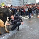 A Revolta dos Fazendeiros na Bélgica A Revolta dos Fazendeiros na Bélgica