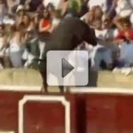 O Touro Voador