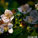 Jcrop: O Crop Plugin em JQuery