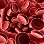 Transplante de Medula Óssea - O que é e Para que Serve? Transplante de Medula Óssea - O que é e Para que Serve?