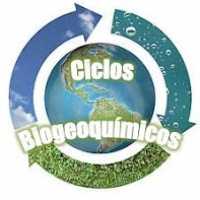 Vídeo Aulas Sobre Ciclos Biogeoquímicos - Água, Carbono