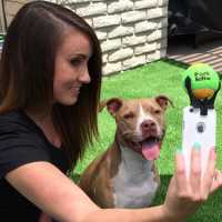 Acessório Para Celular Promete Chamar Atenção dos Cães na Hora de Tirar uma Selfie