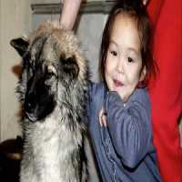 Menina de 3 Anos Sobreviveu 11 Dias Perdida em um Bosque na Sibéria com a Ajuda de Seu Cão