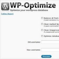 Plugin Para Otimizar Banco de Dados do Wordpress
