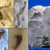 A Evidência de Vida Mais Antiga da Terra Eram Rochas