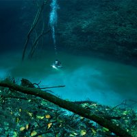 Cenote Angelita - O Rio que Corre no Fundo do Mar
