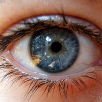 Quantos Megapixels Tem os Olhos Humanos?