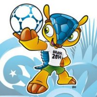 Tatu-Bola, Mascote da Copa do Mundo 2014