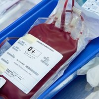 Grávida Morre Por Ter Recusado Transfusão de Sangue Por Ser Testemunha de Jeová