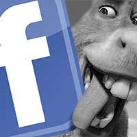Dicas Para Não Cair em Falsas Correntes do Facebook
