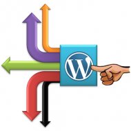 Monitore os Links Externos no Wordpress