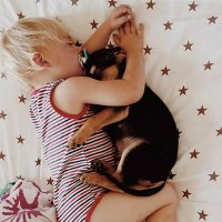 Bebê Americano e Seu Cãozinho Só Dormem se Forem Juntos