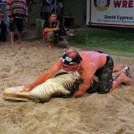 Alligator Wrestling