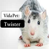 Vida Pet: Twister