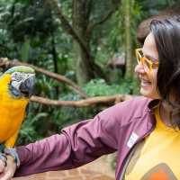 Parque das Aves em Foz do IguaÃ§u