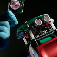 Robô Funciona com Neurônios de Verdade no Reino Unido