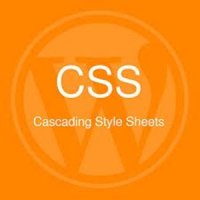 Como Usar CSS no Wordpress
