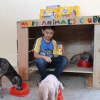 Garoto de 9 Anos ConstrÃ³i Abrigo Para Animais em Sua Garagem