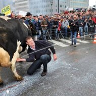 A Revolta dos Fazendeiros na Bélgica