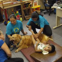 Cães Terapeutas Auxiliam na Recuperação de Pacientes