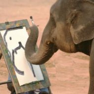 O Elefante Pintor