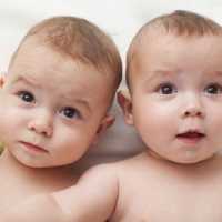 Confira 13 Curiosidades Bizarras Sobre Bebês