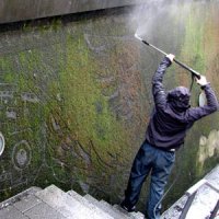 Artista Usa Água Para Criar Grafite em Parede com Musgos