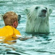 O Santuário dos Ursos Polares