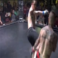 Lutador de um Braço Massacrando no MMA