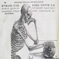 Livro de 1543 Ensina Anatomia em Ilustrações Exuberantes