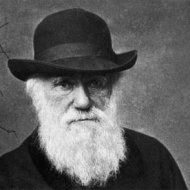 A Longa Viagem de Darwin