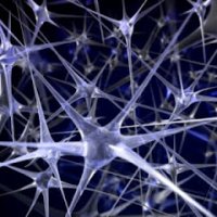 O que Ã‰ Uma Rede Neural Artificial?