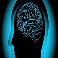 FÃ¡rmaco Contra a Epilepsia Pode Combater Alzheimer