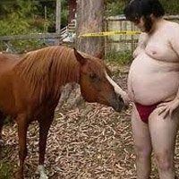 Americano Ã© Preso por Invadir EstÃ¡bulo e Fazer Sexo com Cavalo