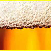 Colarinho: Saiba Porque a Espuma Faz Bem Para a Cerveja