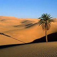 Deserto do Saara - Simplesmente Incrivel