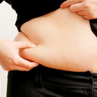 Descoberta ProteÃ­na que Regula a FormaÃ§Ã£o de Gordura