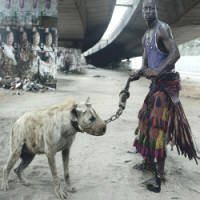 IncrÃ­veis Animais Selvagens de EstimaÃ§Ã£o na Ãfrica