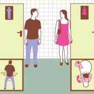 Pequenas Diferenças Entre Homens e Mulheres no Banheiro