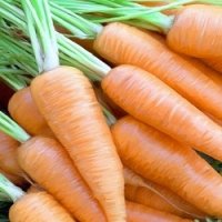 6 RazÃµes Porque VocÃª Deve Comer Mais Cenouras