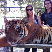 ConheÃ§a a PolÃªmica Sobre o ZoolÃ³gico de Buenos Aires