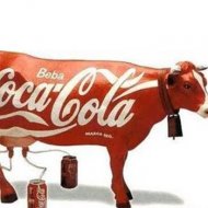 'Cow'ca Cola, a Nova Bebida