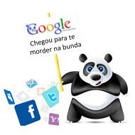 Otimização de Sites: Google Panda e o Uso de Botões Sociais