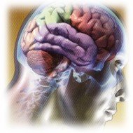 Aprenda a Controlar seu Cérebro